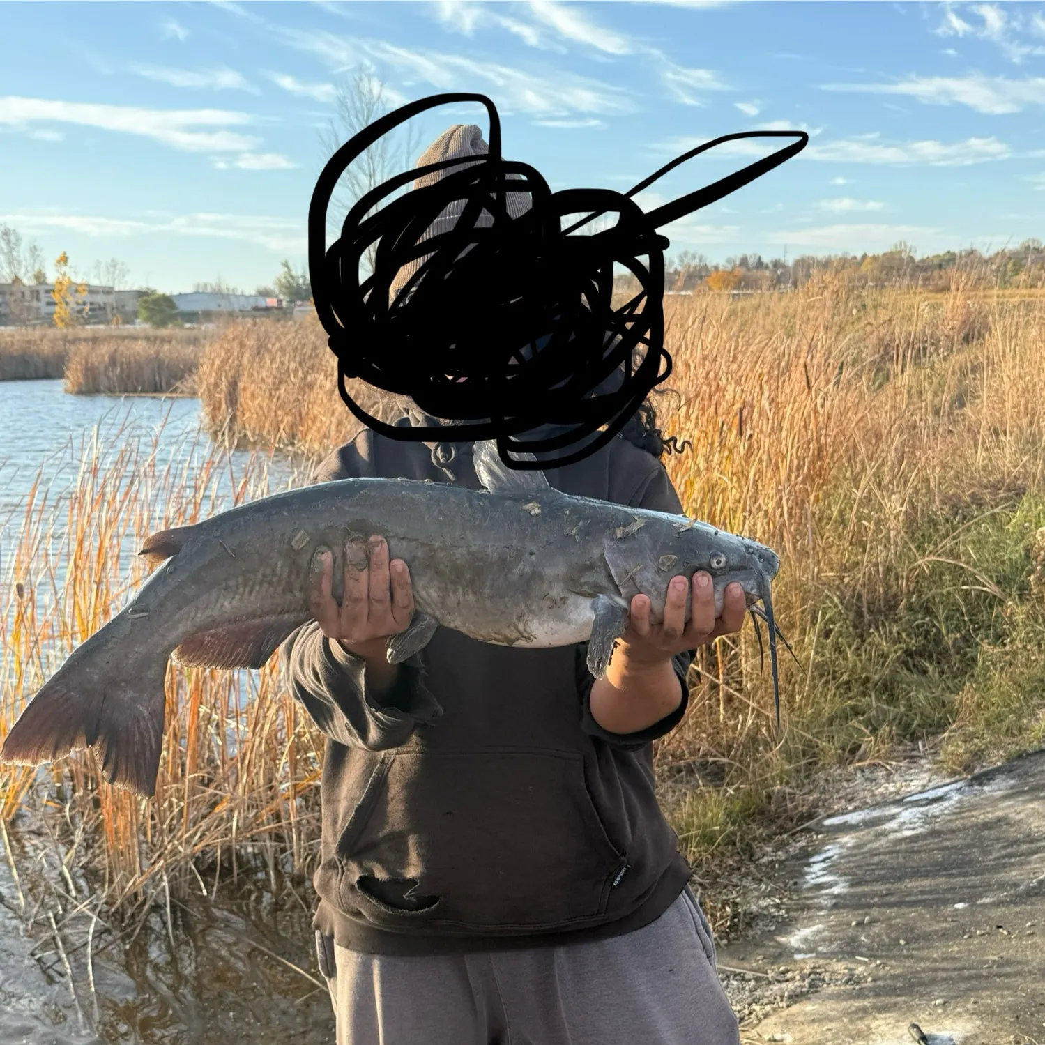 Channel catfish caught on Fishbrain