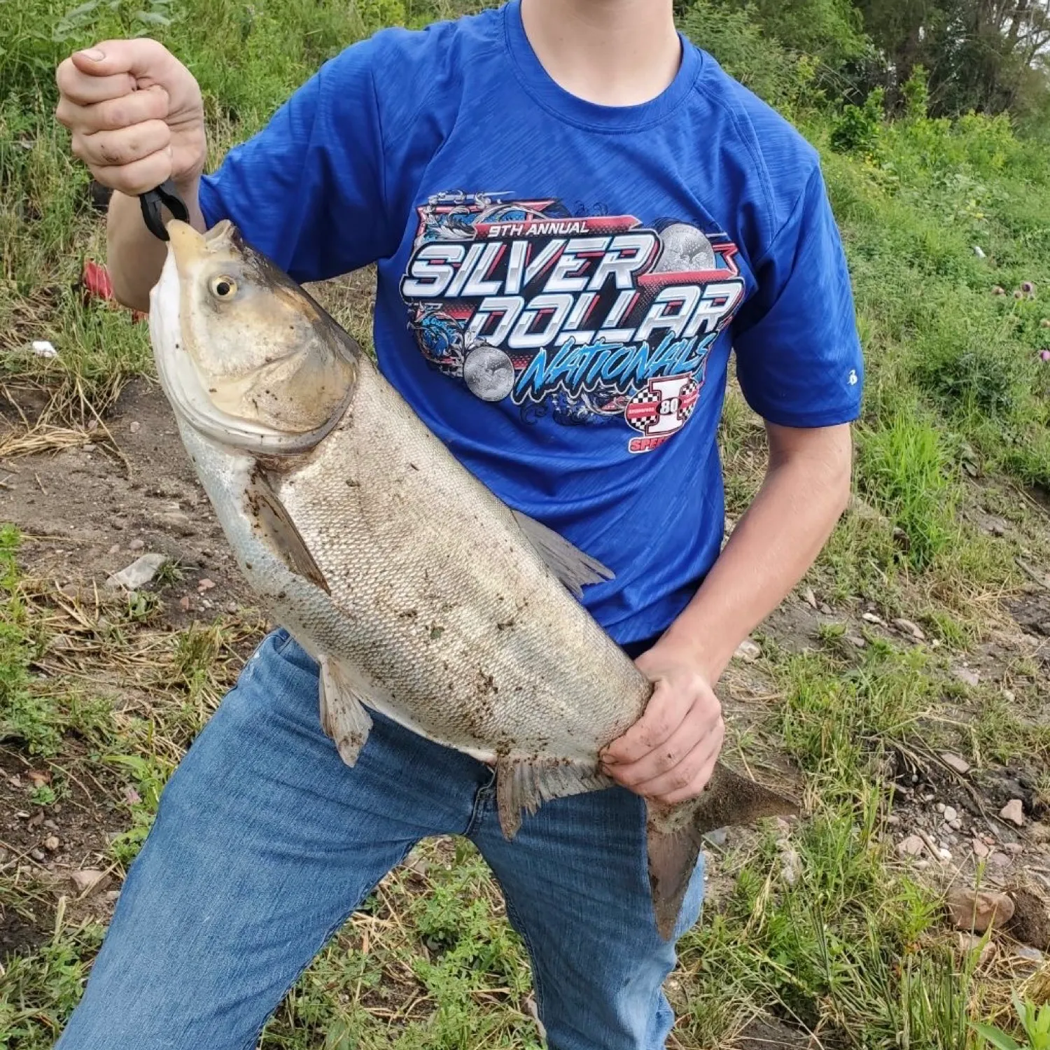 The most recent Silver carp catches on Fishbrain