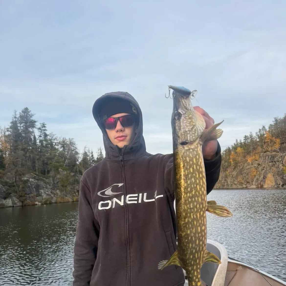 Northern pike caught on Fishbrain