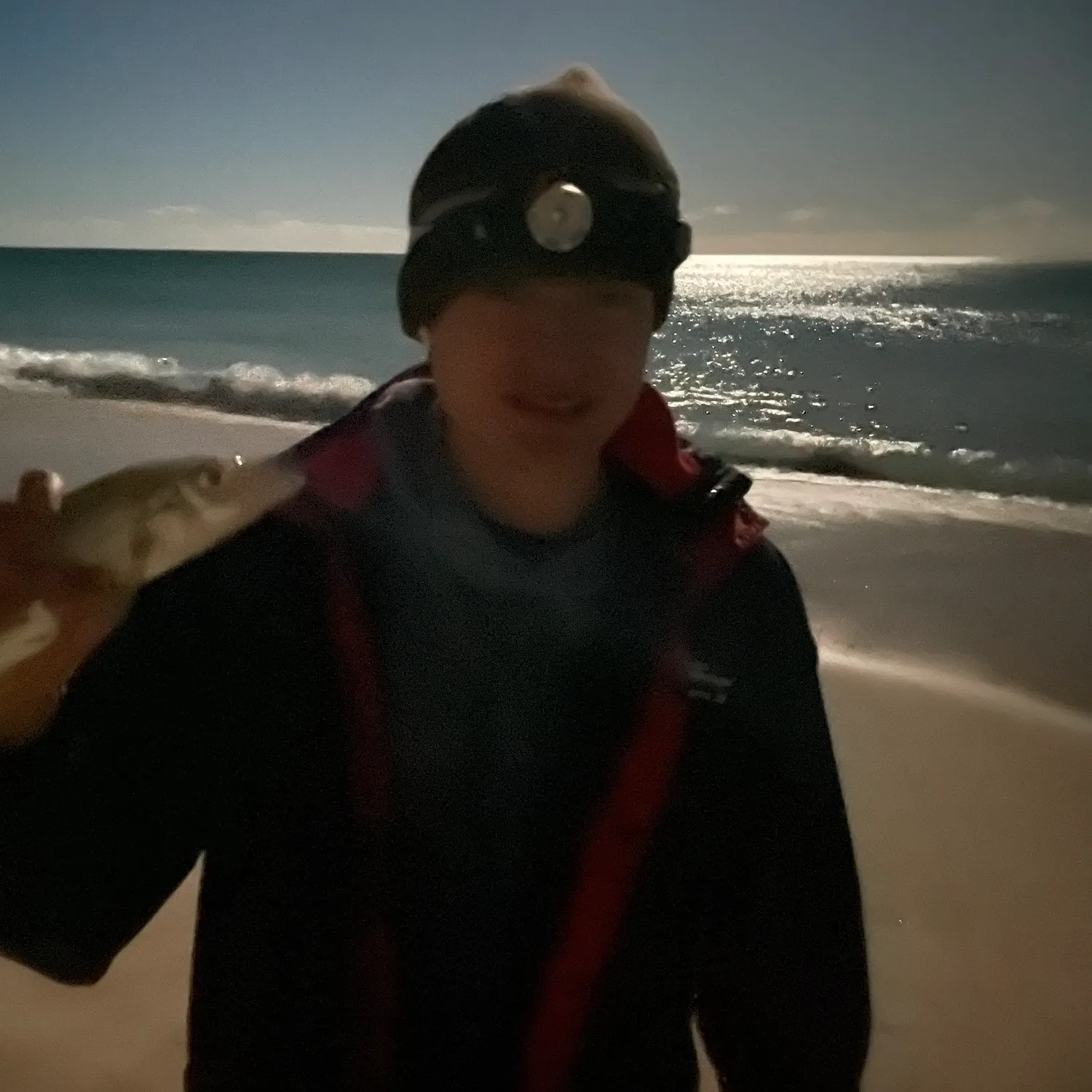 The most recent Sand sillago catches on Fishbrain