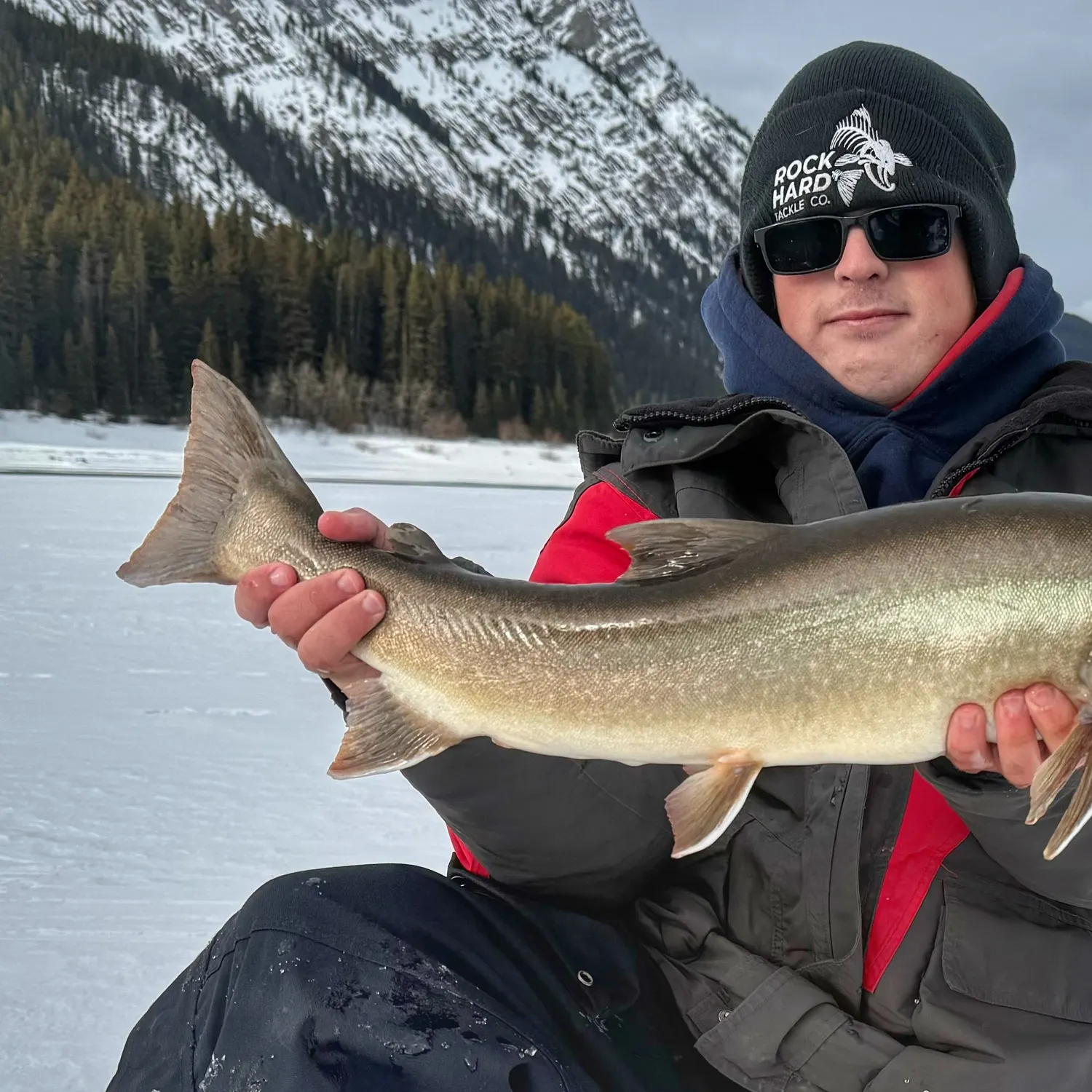 The most recent Bull trout catches on Fishbrain