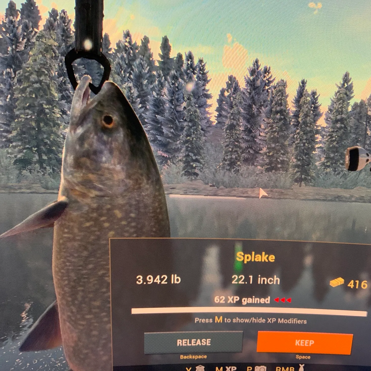 Splake caught on Fishbrain