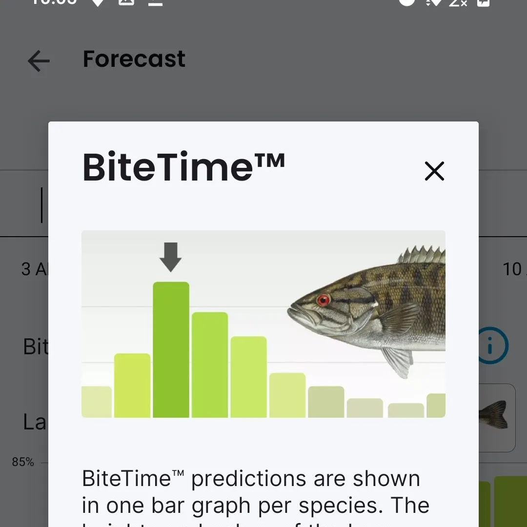 Largemouth bass caught on Fishbrain
