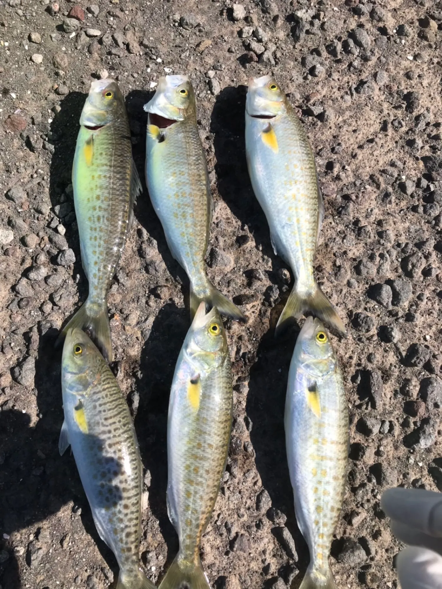 Post image from jzhao6809