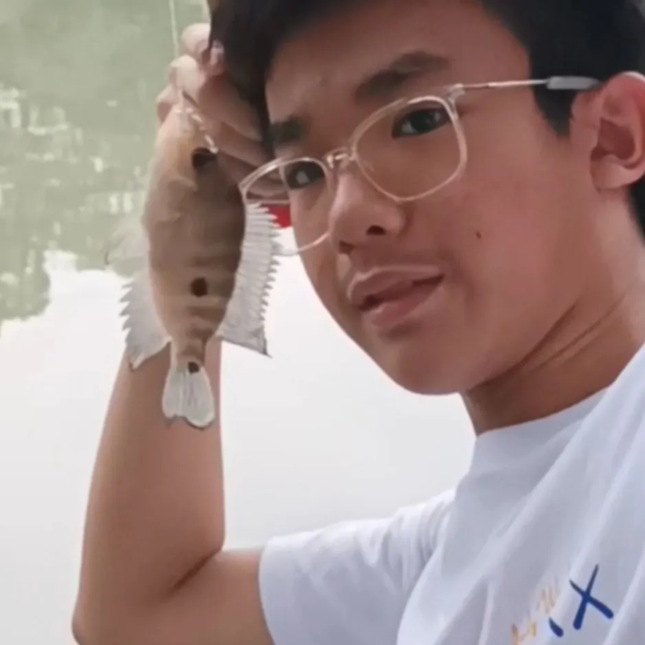 The most recent Eartheater cichlid catches on Fishbrain