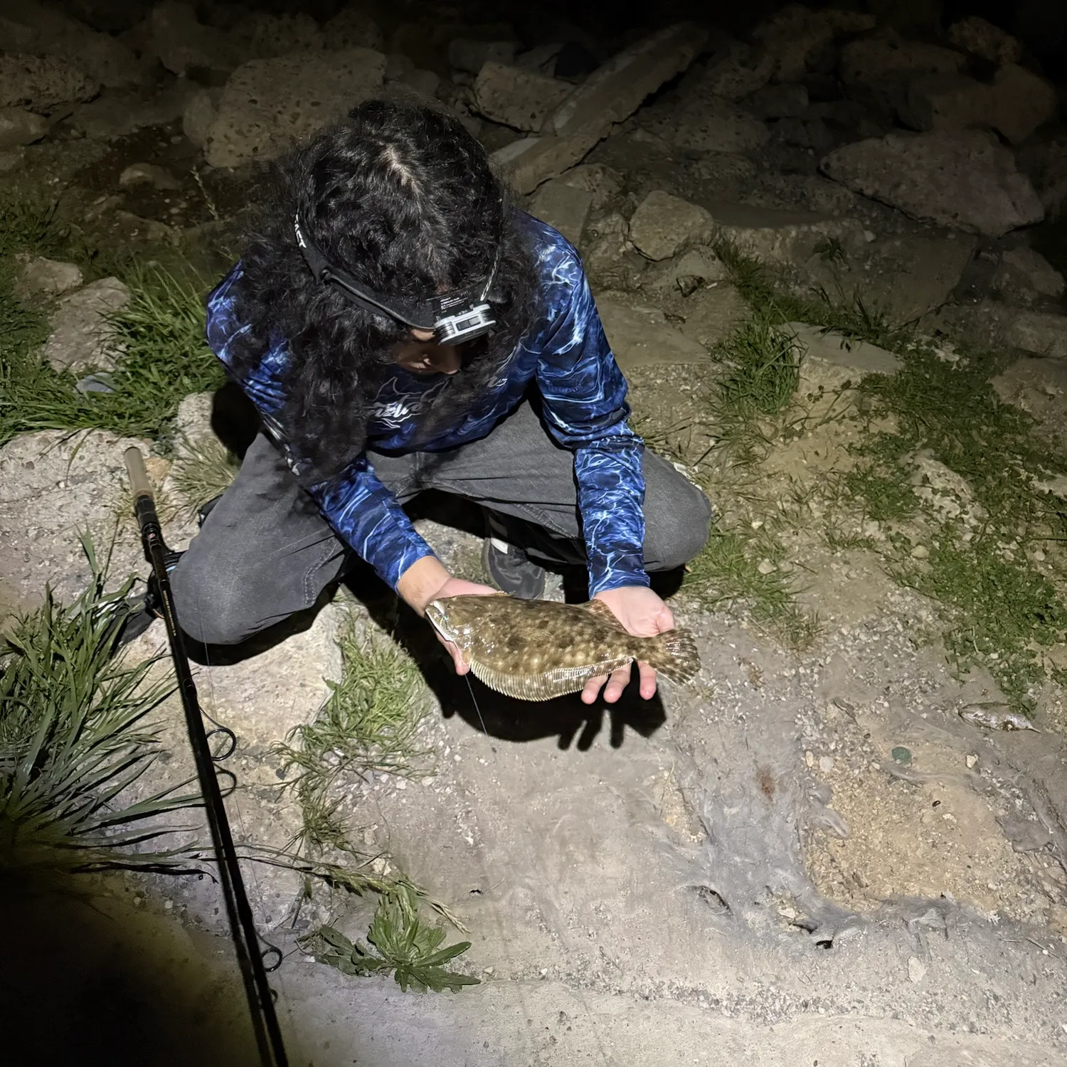 The most recent Southern flounder catches on Fishbrain