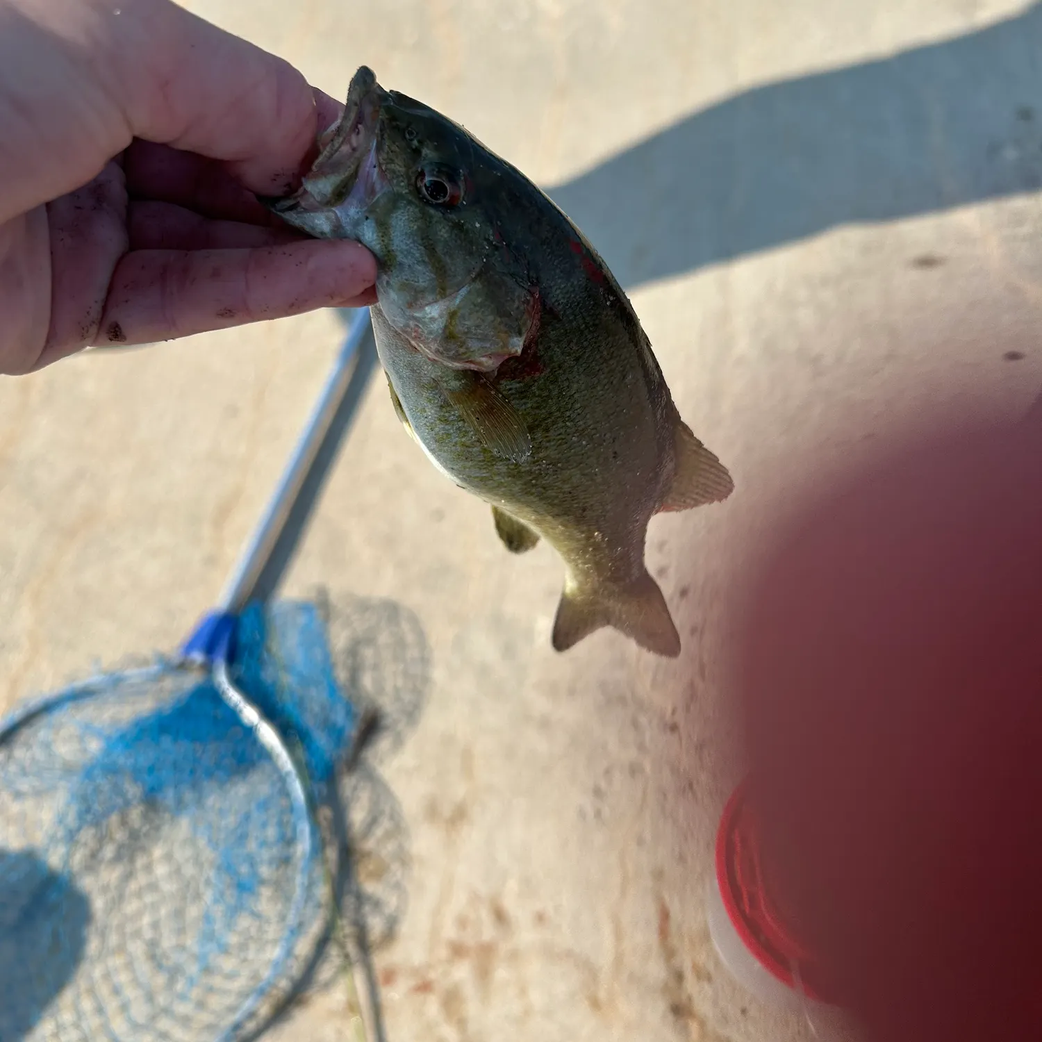 catch