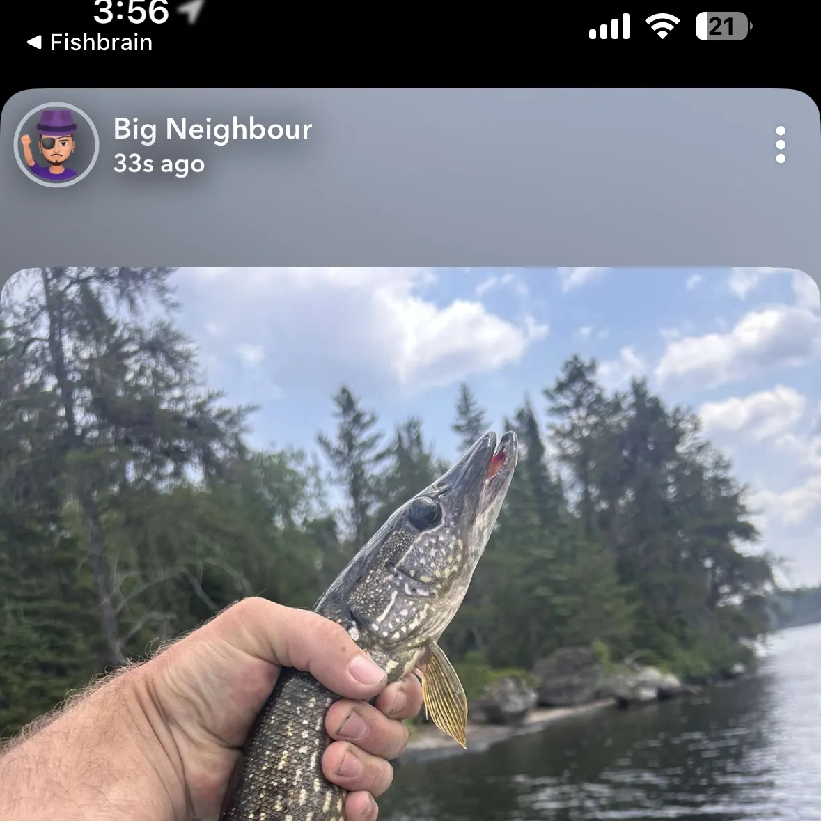 recently logged catches