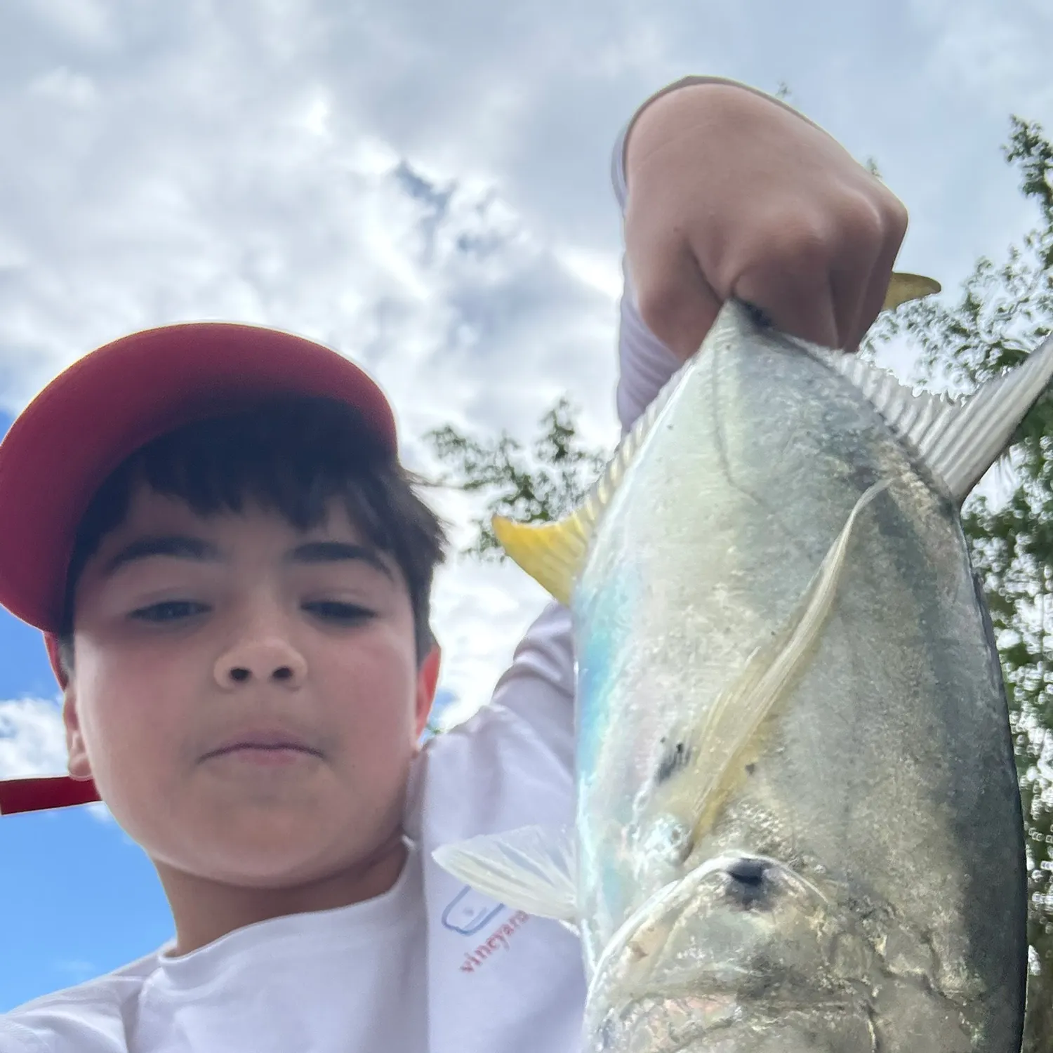 The most recent Pacific crevalle jack catches on Fishbrain