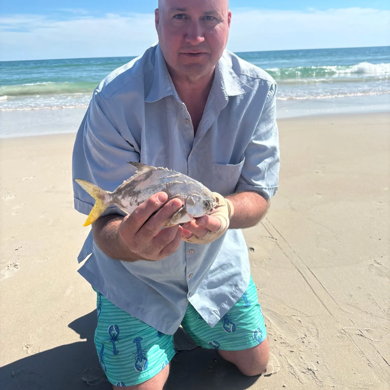 The most recent Florida pompano catches on Fishbrain