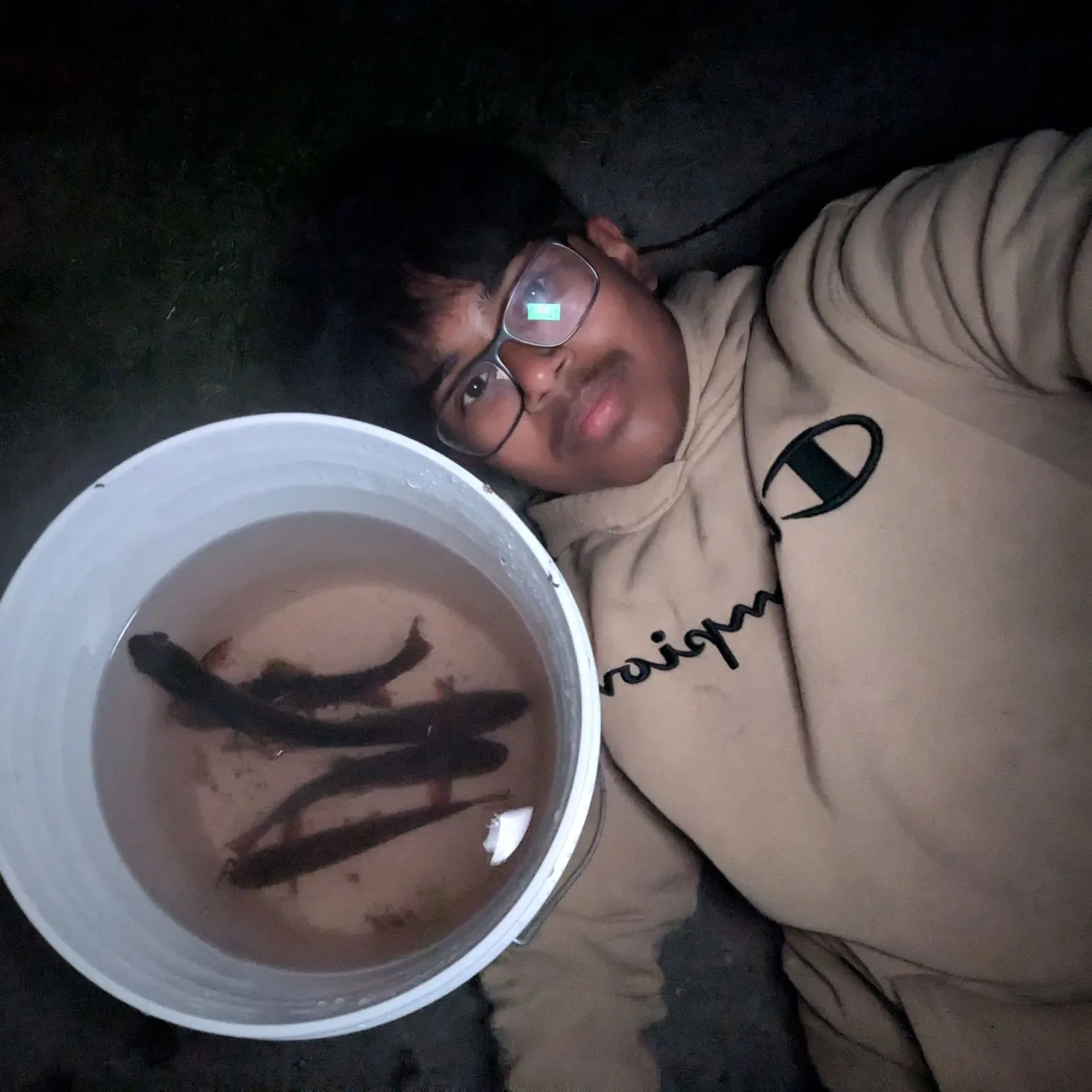 Brook trout caught on Fishbrain