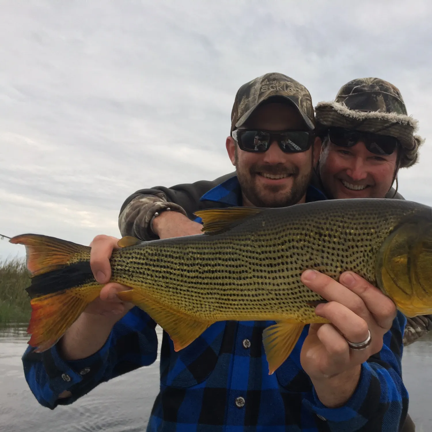 The most recent Golden dorado catches on Fishbrain