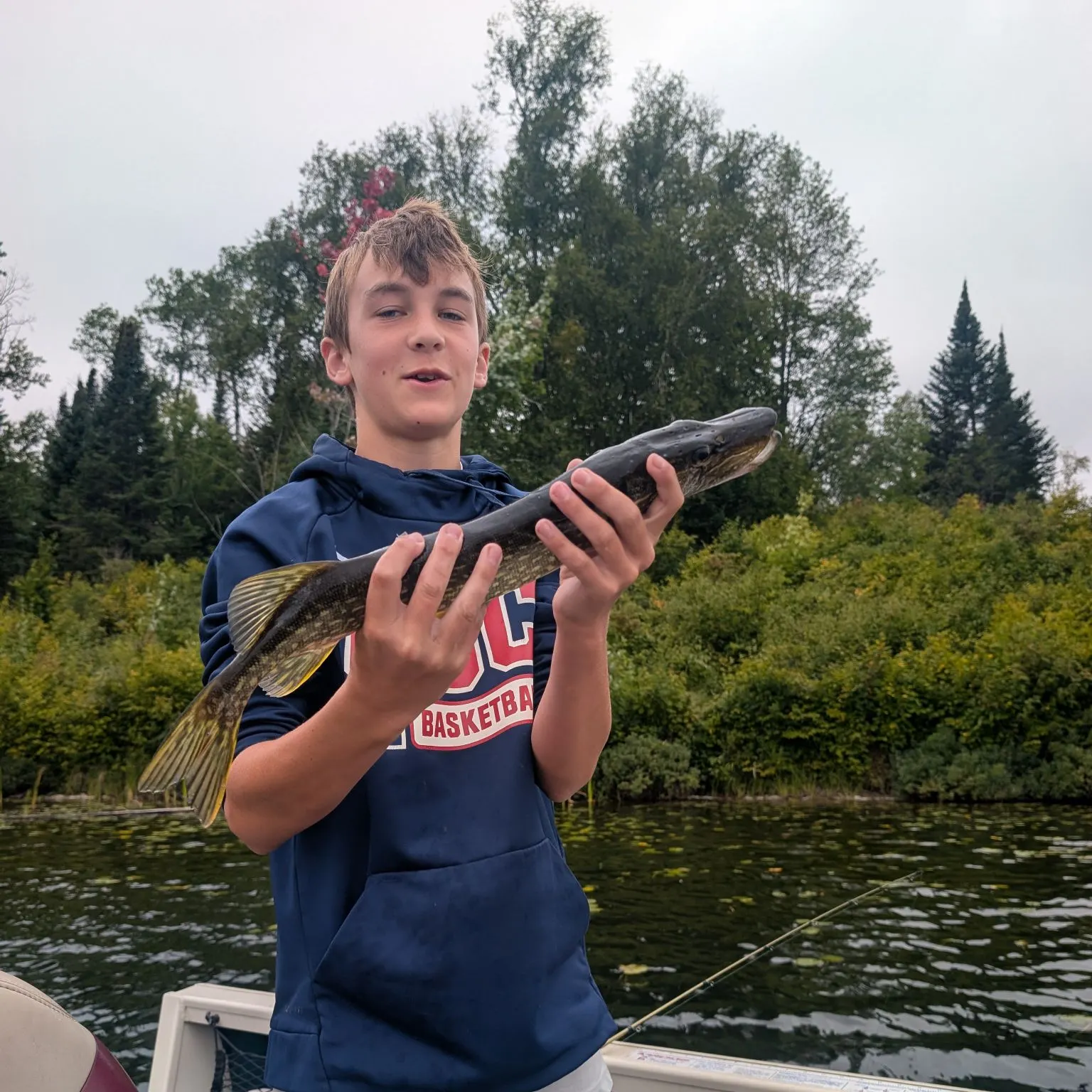 Northern pike caught on Fishbrain