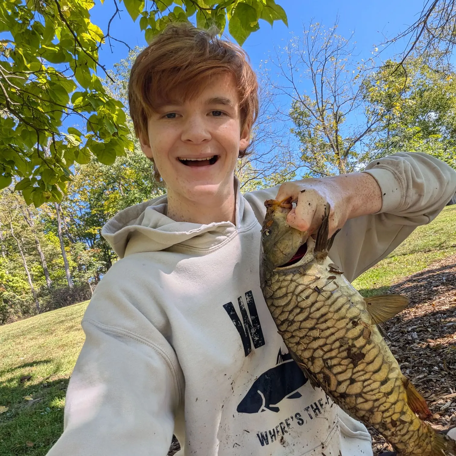 Mirror carp caught on Fishbrain