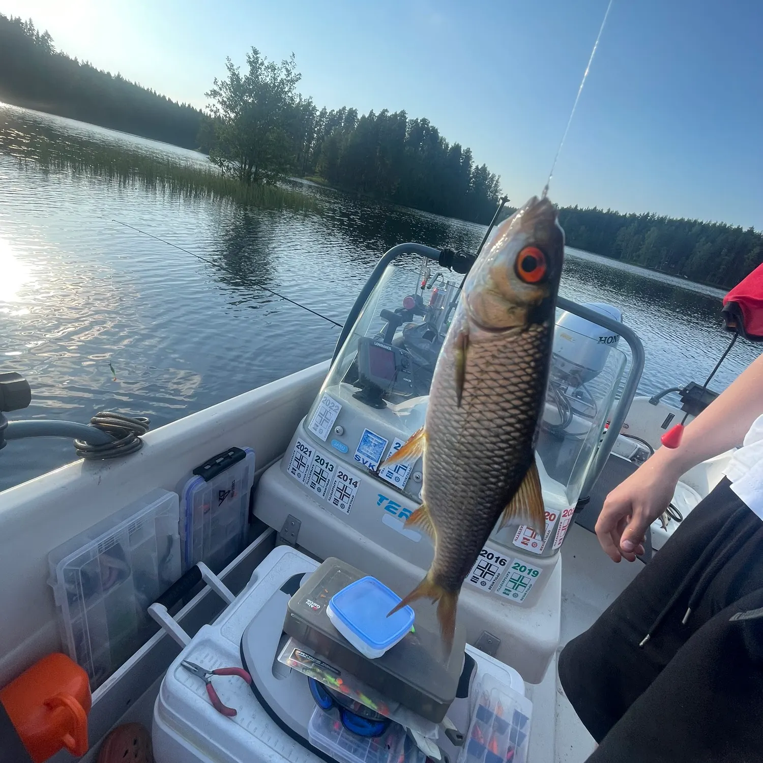 recently logged catches