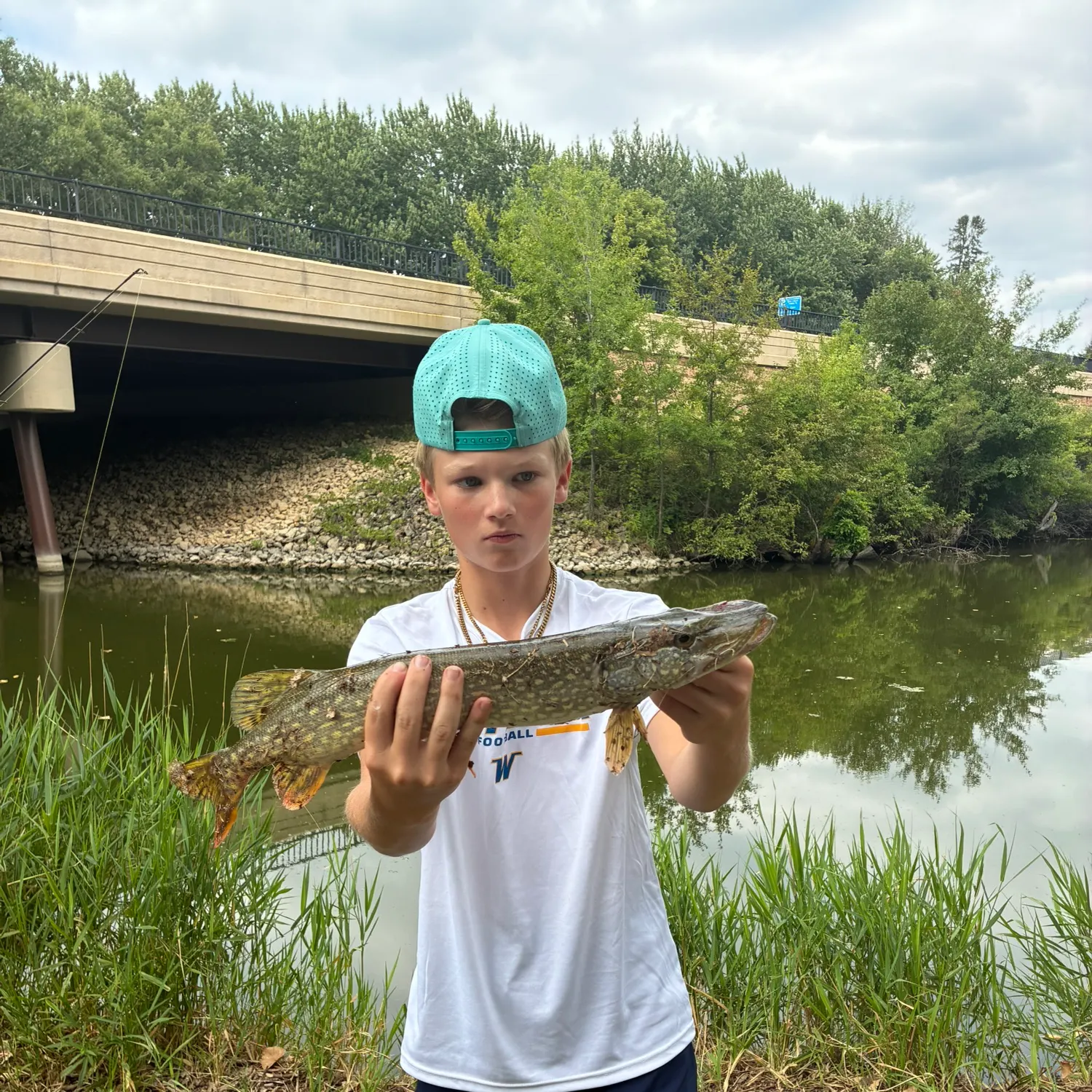 Northern pike caught on Fishbrain