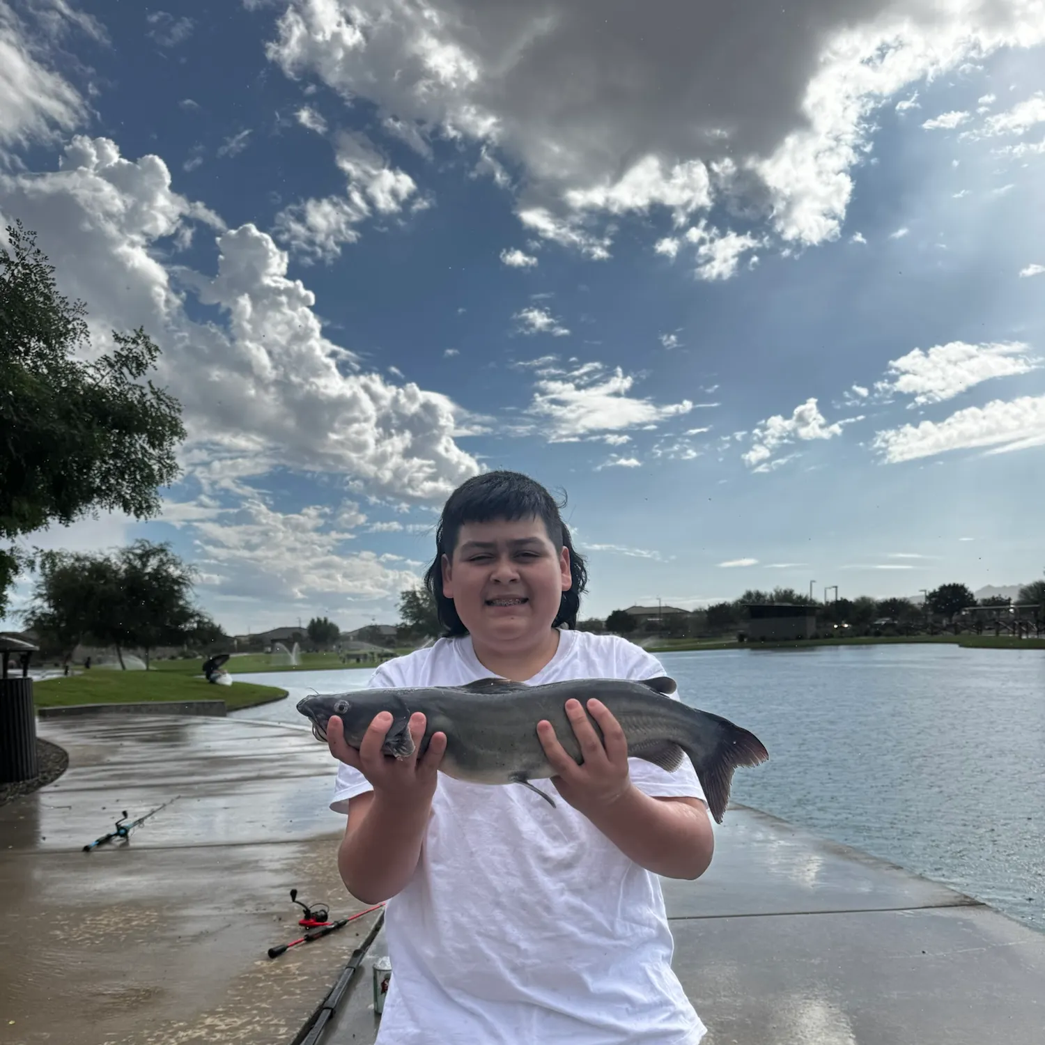 Channel catfish caught on Fishbrain