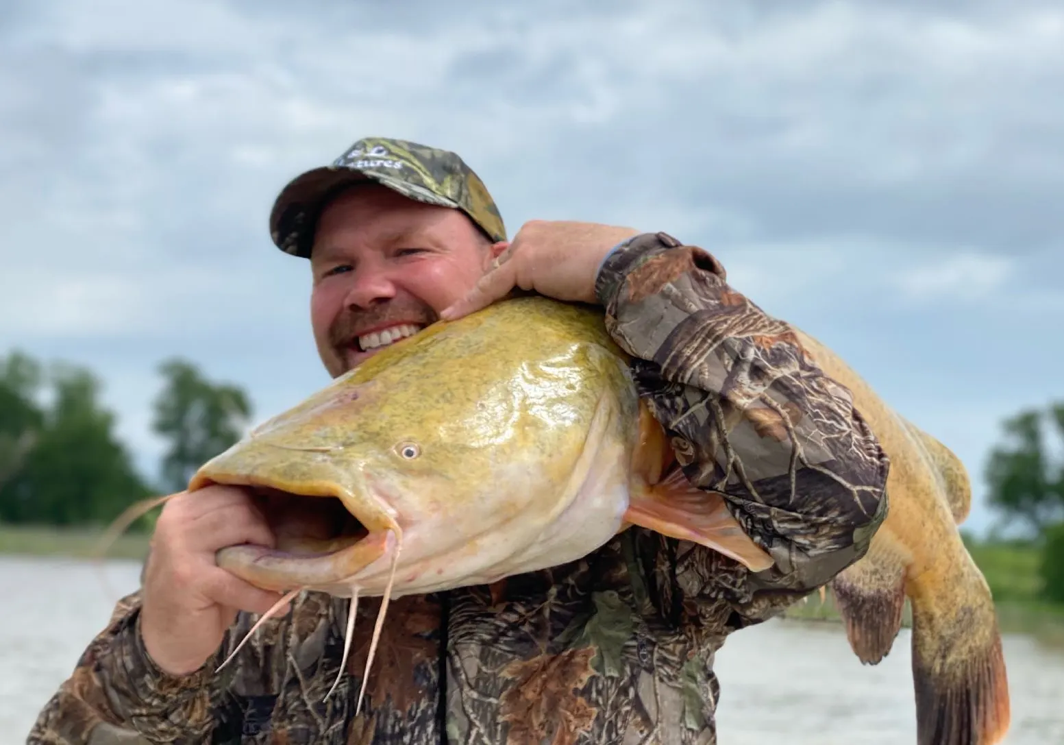 Flathead catfish