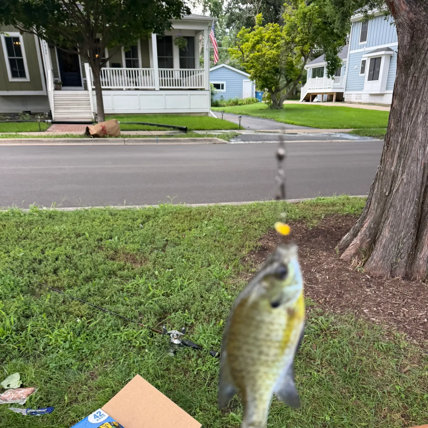 recently logged catches