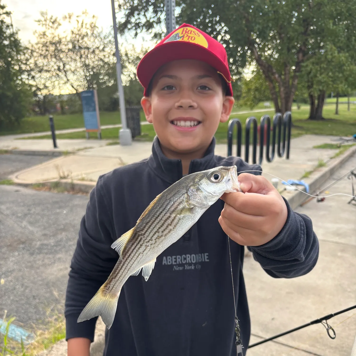 Striped bass caught on Fishbrain