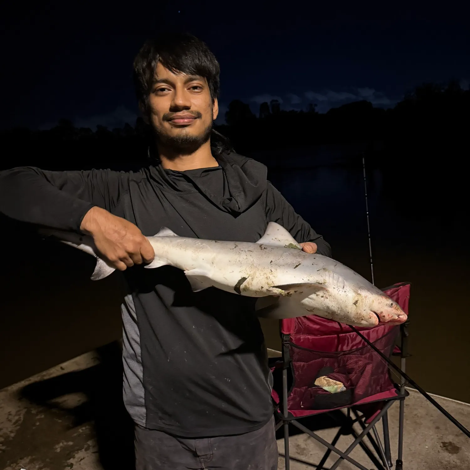 The most recent Bull shark catches on Fishbrain
