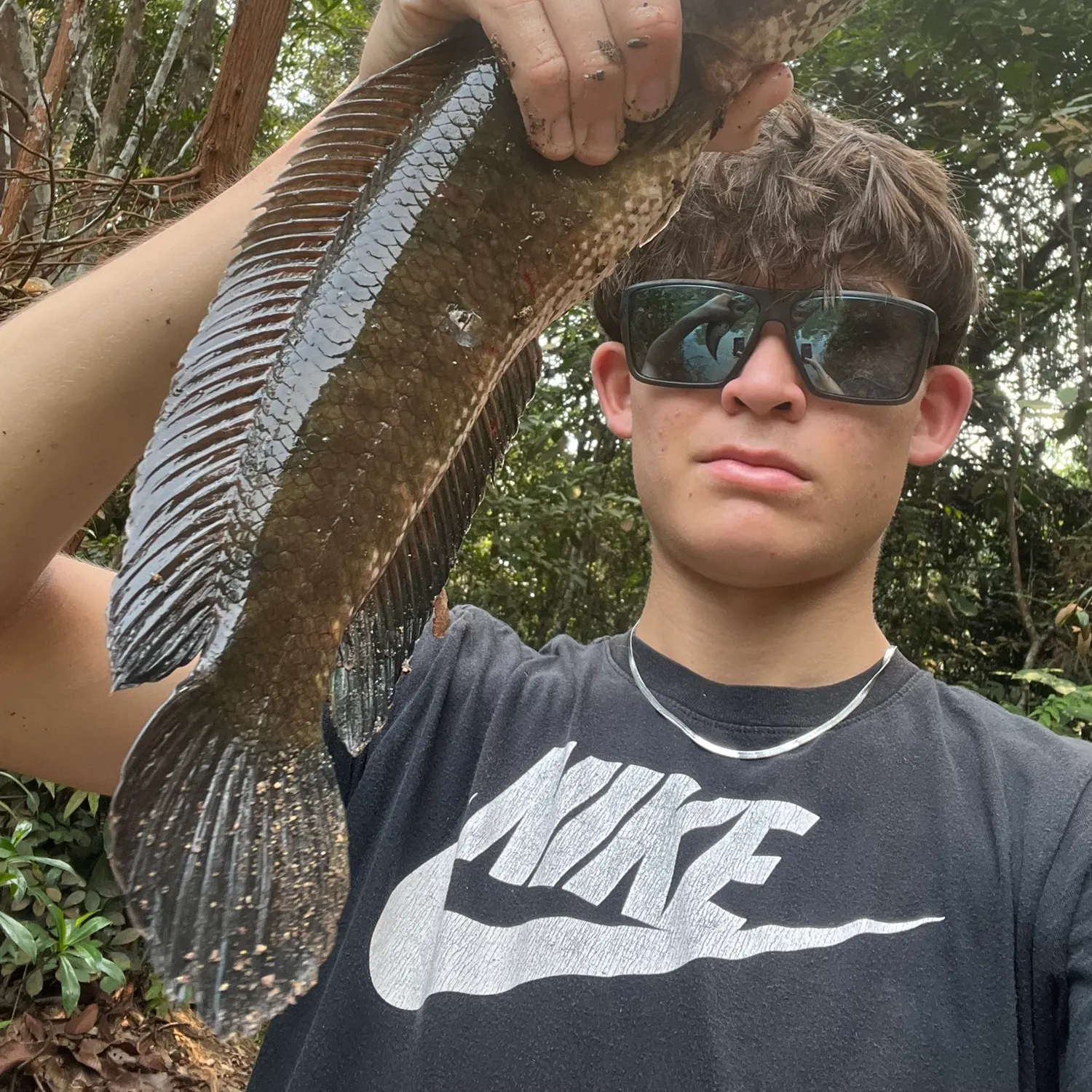 The most recent Striped snakehead catches on Fishbrain