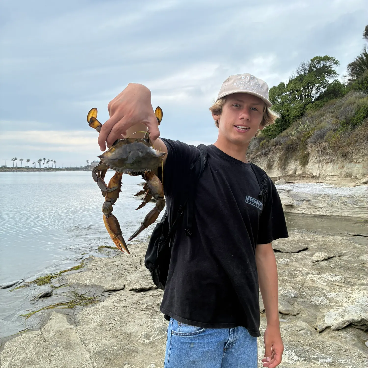 The most recent Pacific rock crab catches on Fishbrain