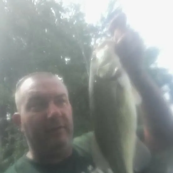 Fish caught on Fishbrain