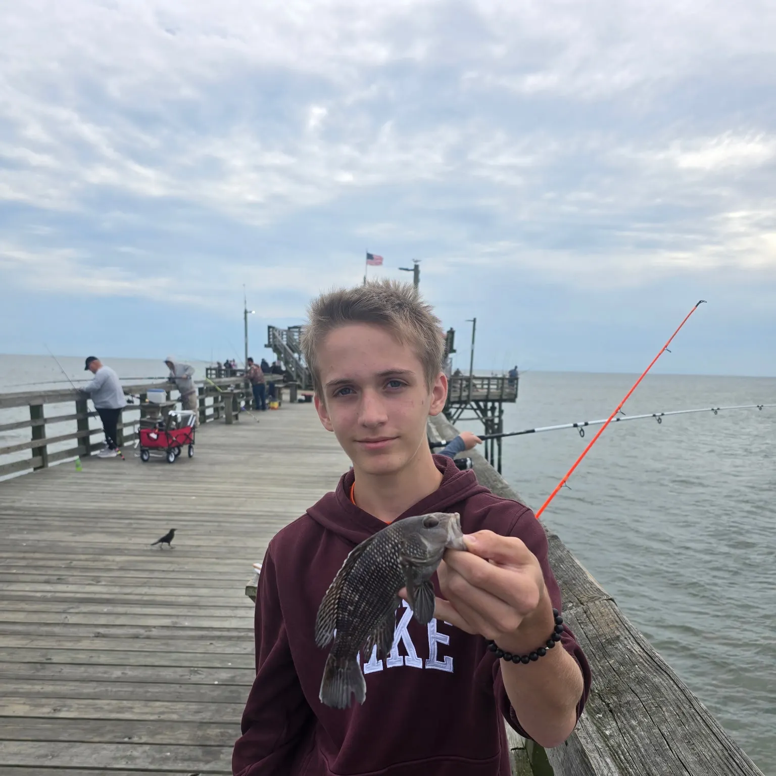 The most recent Black sea bass catches on Fishbrain