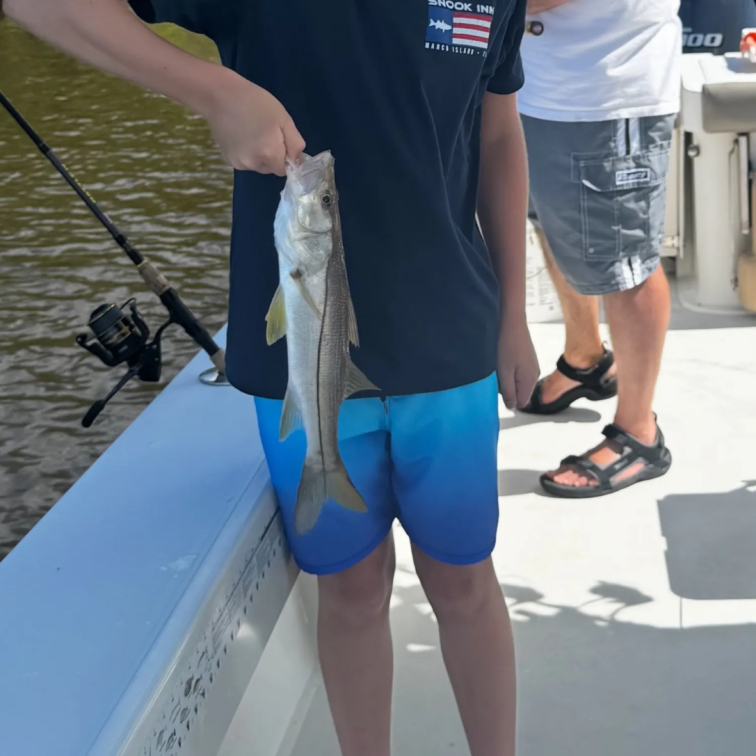 The most recent White snook catches on Fishbrain