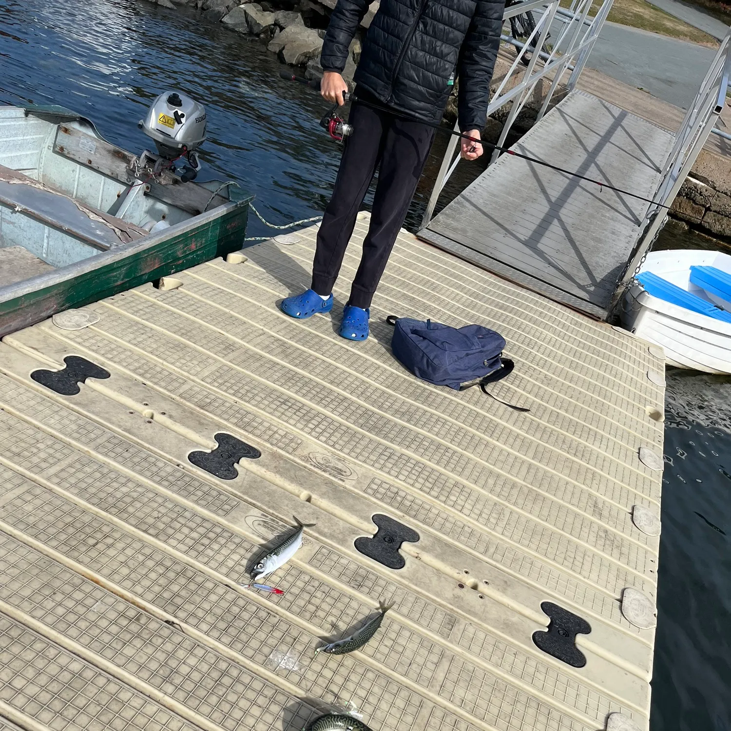 recently logged catches