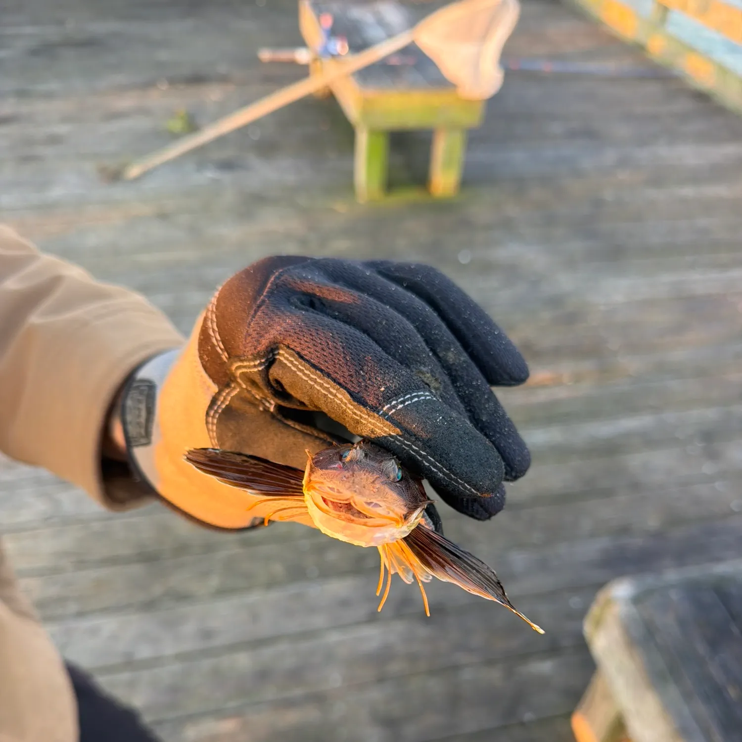 catch