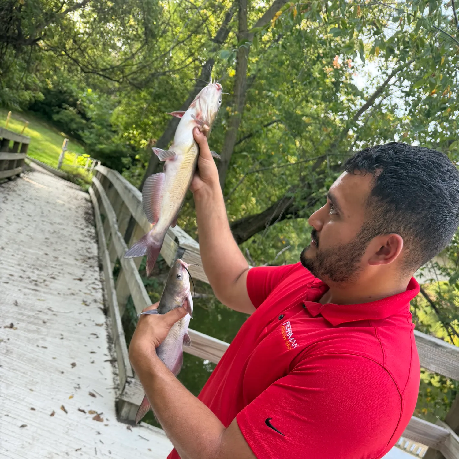 Fish caught on Fishbrain