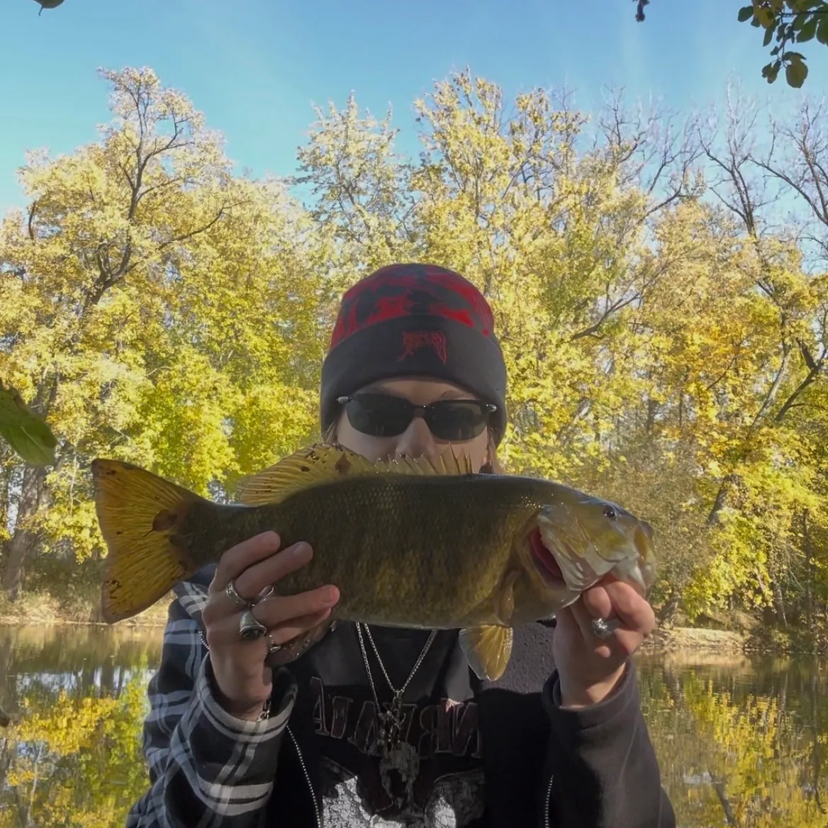Smallmouth bass caught on Fishbrain