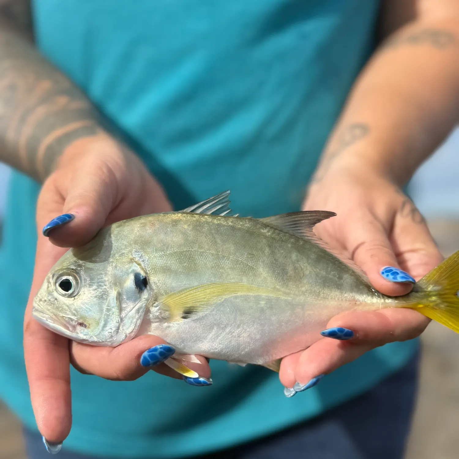 Crevalle jack caught on Fishbrain