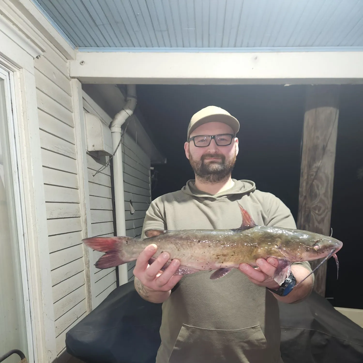 Channel catfish caught on Fishbrain