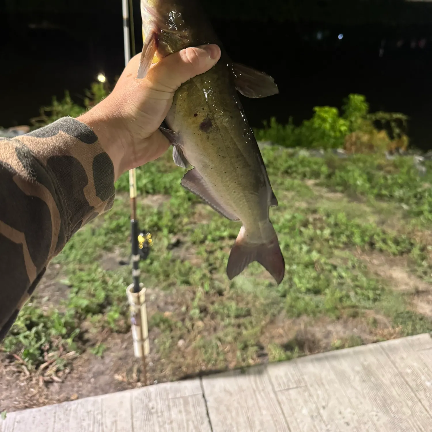 catch