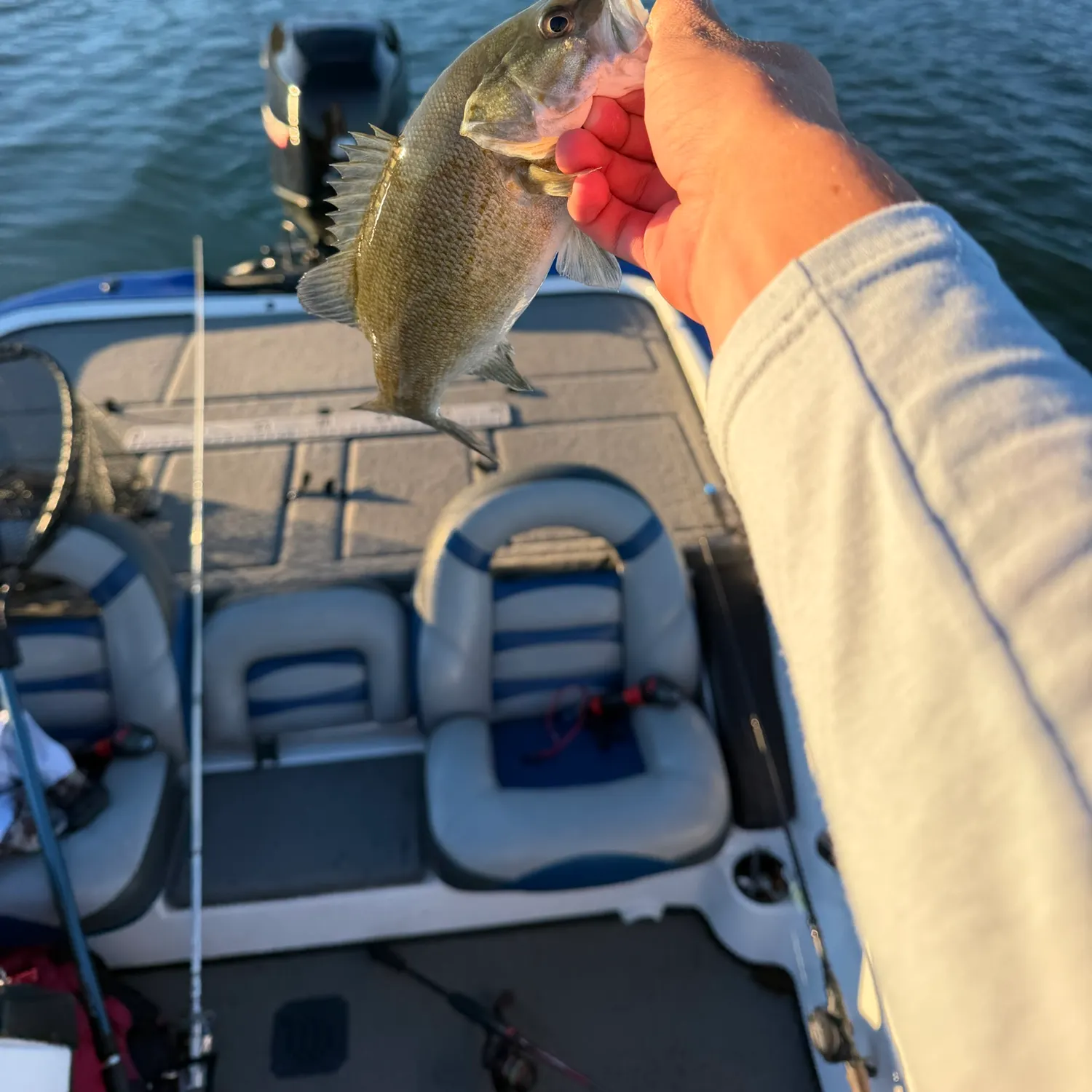 Smallmouth bass caught on Fishbrain