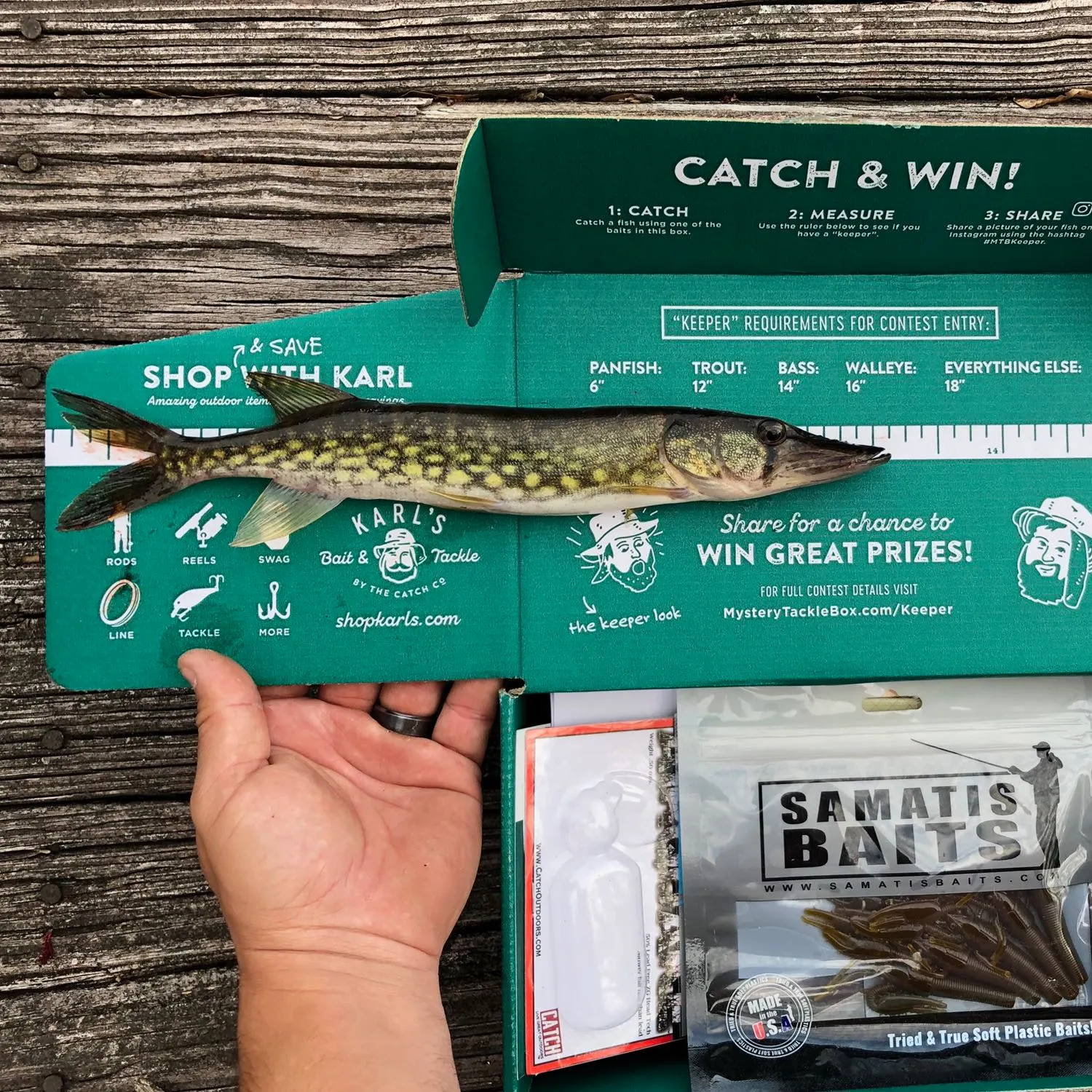 recently logged catches