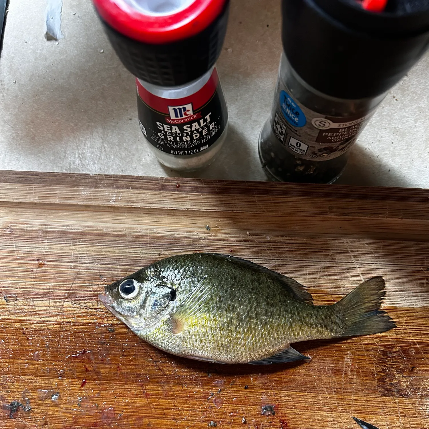 Bluegill caught on Fishbrain