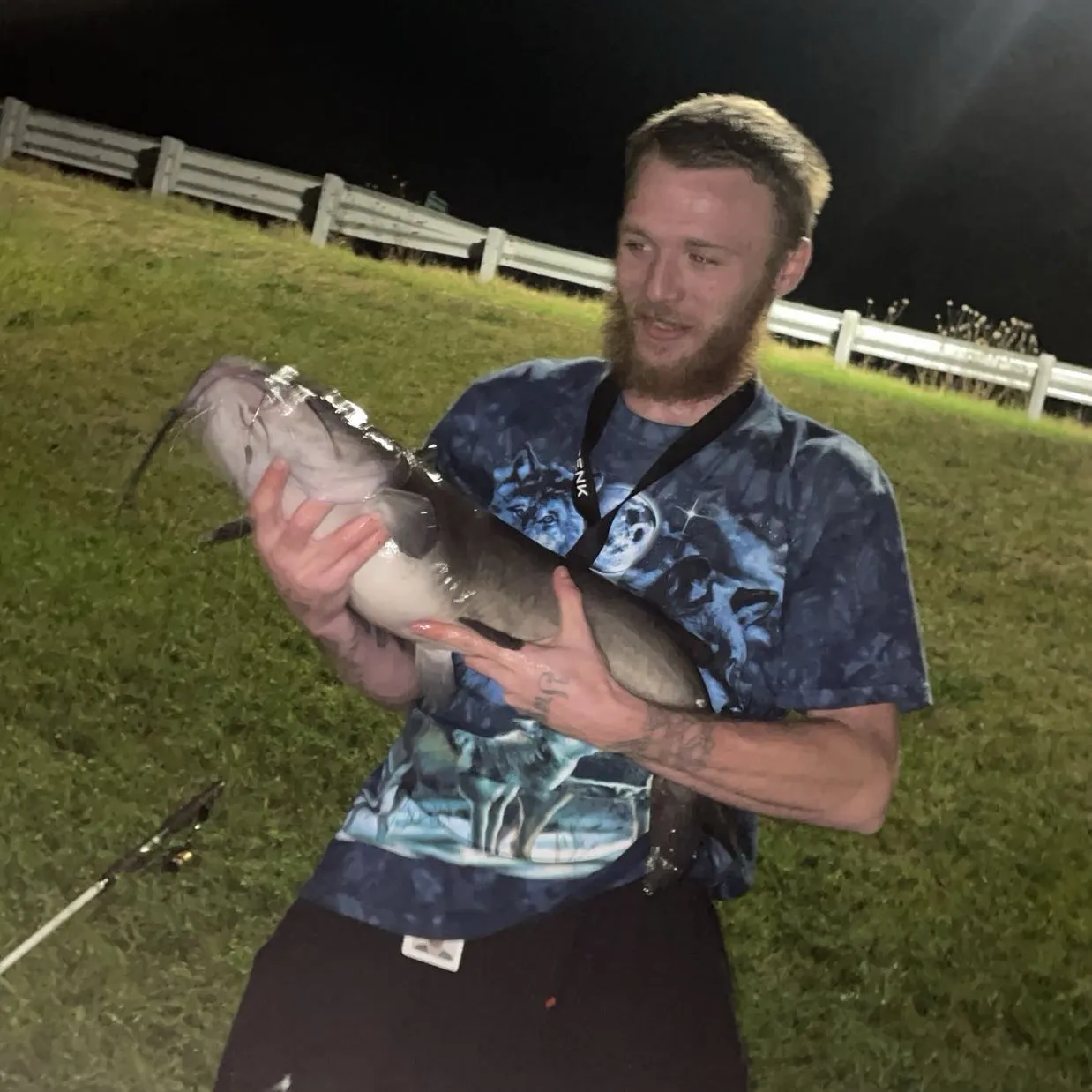 Channel catfish caught on Fishbrain