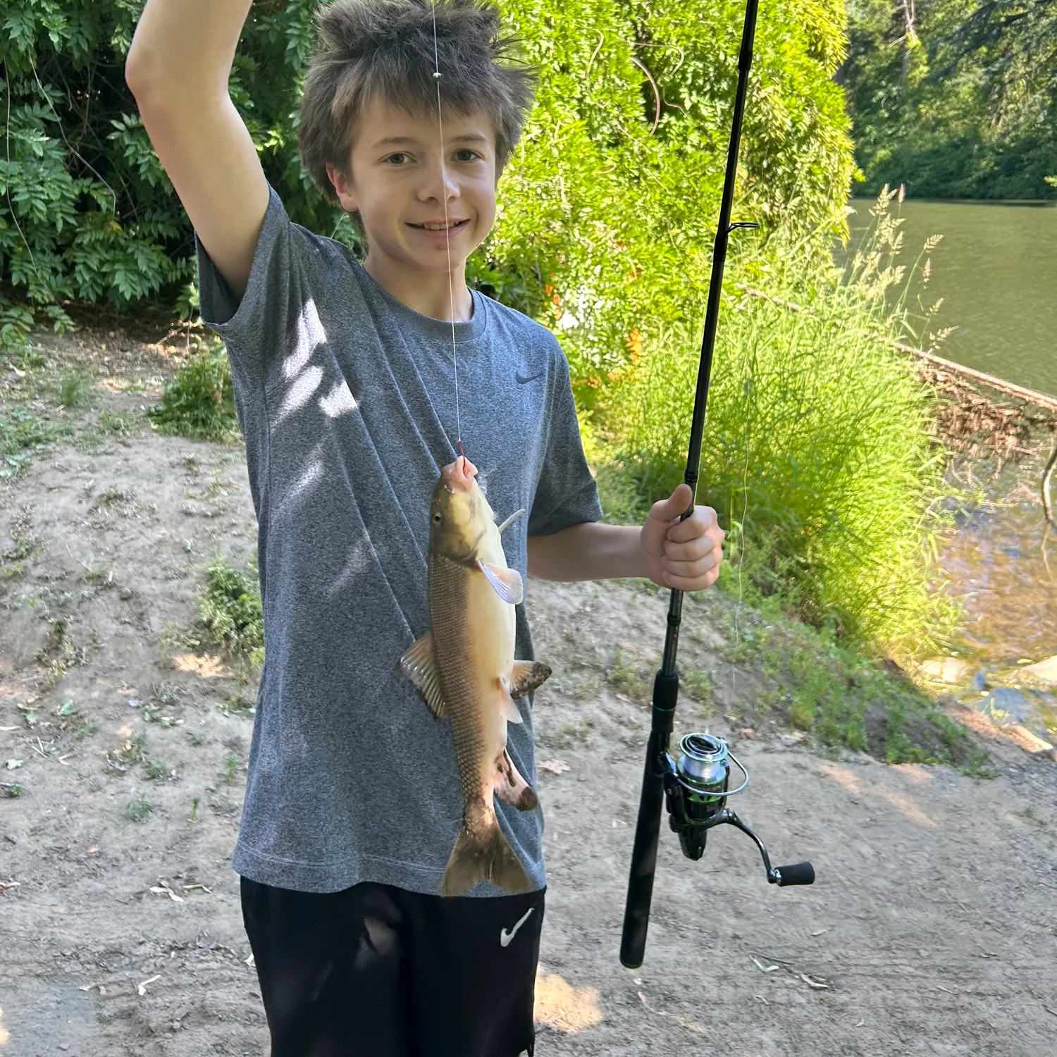 The most recent Largescale sucker catches on Fishbrain