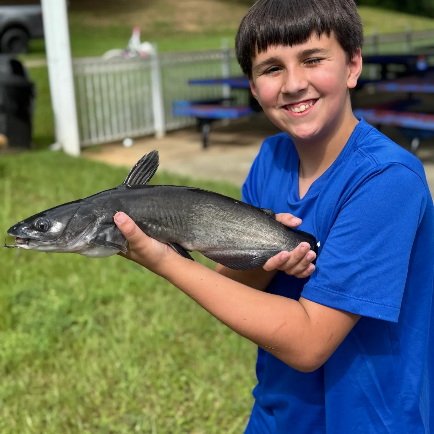 Channel catfish caught on Fishbrain
