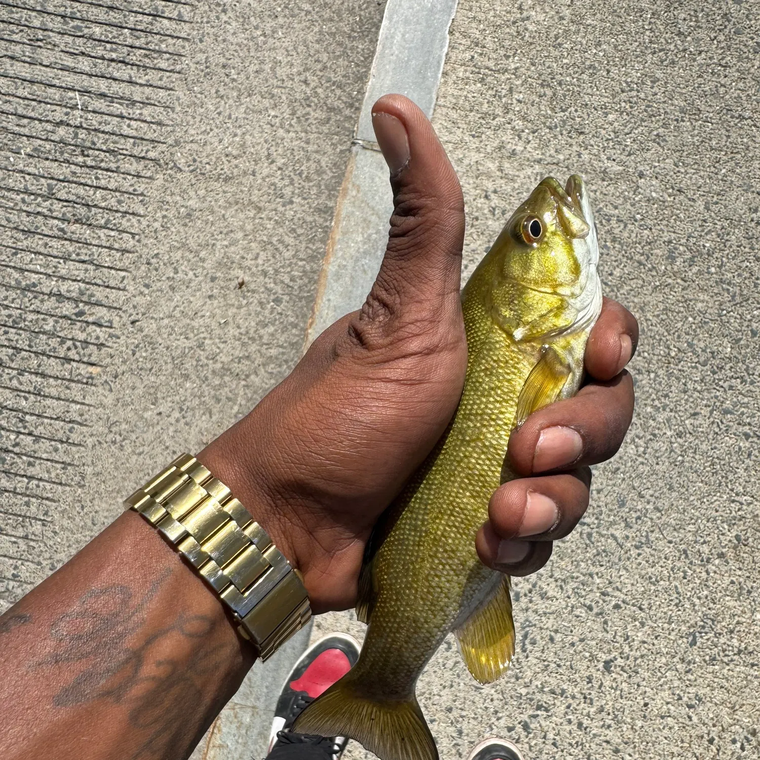 catch