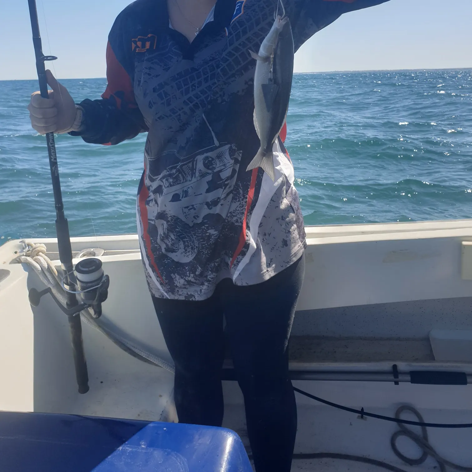 Striped whiptail caught on Fishbrain