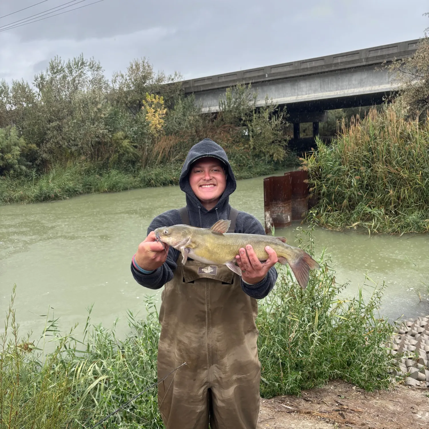 Channel catfish caught on Fishbrain