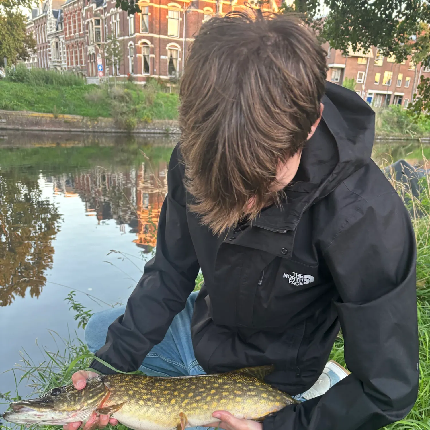 Northern pike caught on Fishbrain