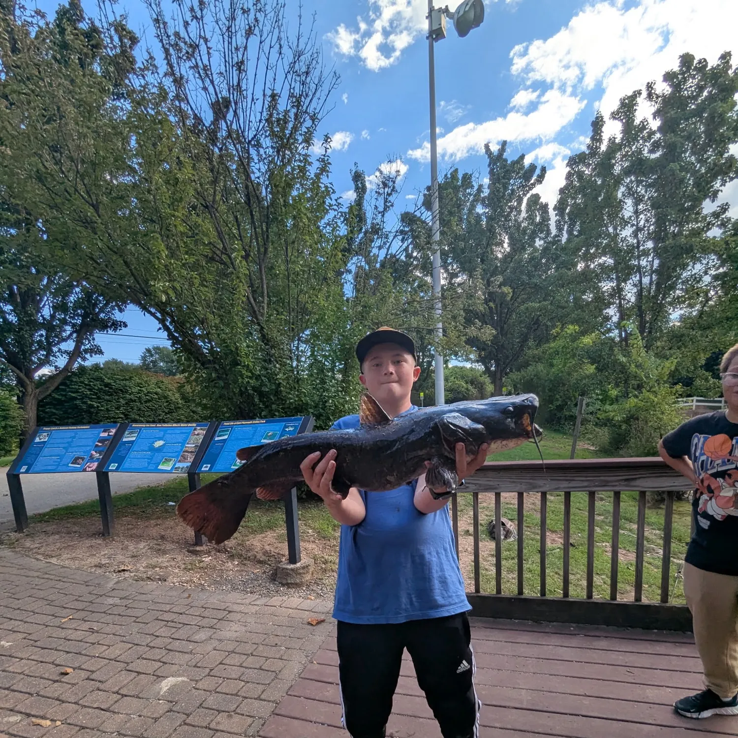 Flathead catfish caught on Fishbrain