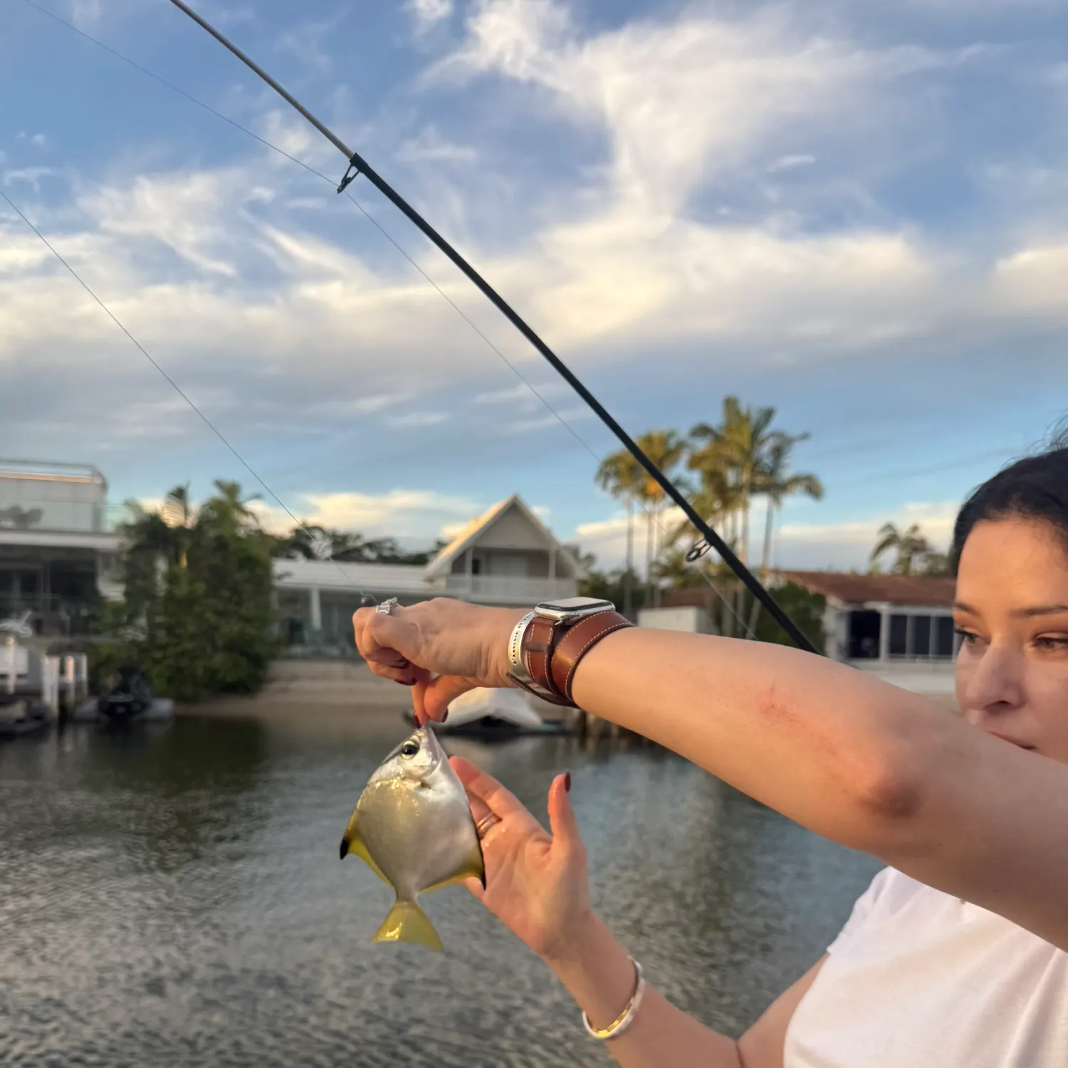 recently logged catches