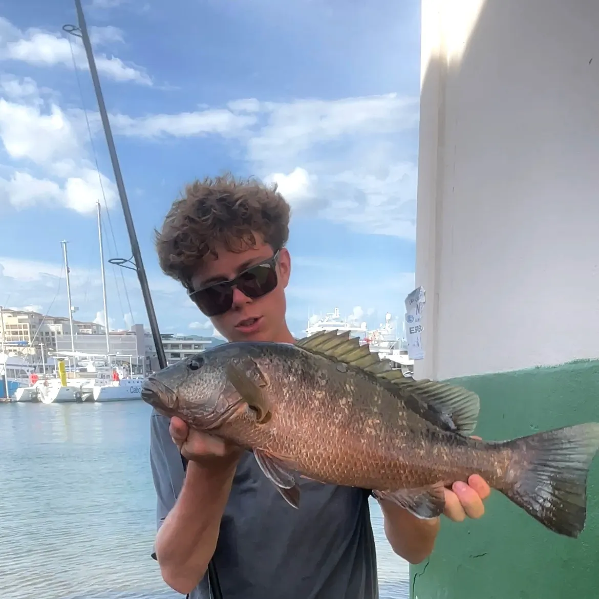 Cubera snapper caught on Fishbrain